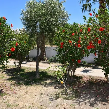 Appartamento 1-bedroom Olympia At Lambi *