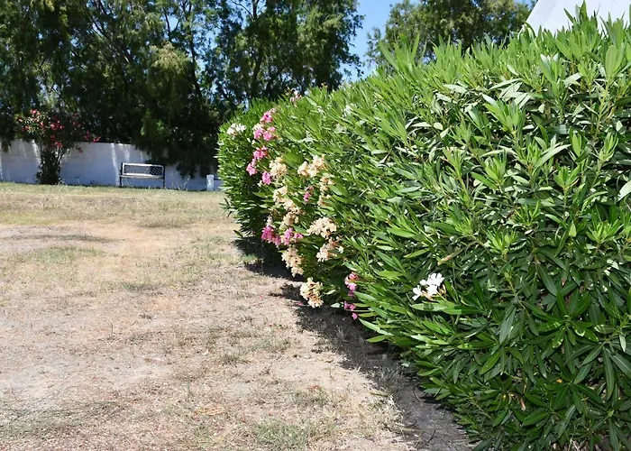 Apartamento 1-bedroom Olympia At Lambi