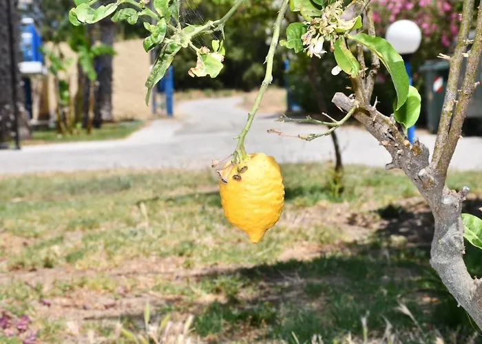 アパート 1-bedroom Olympia At Lambi