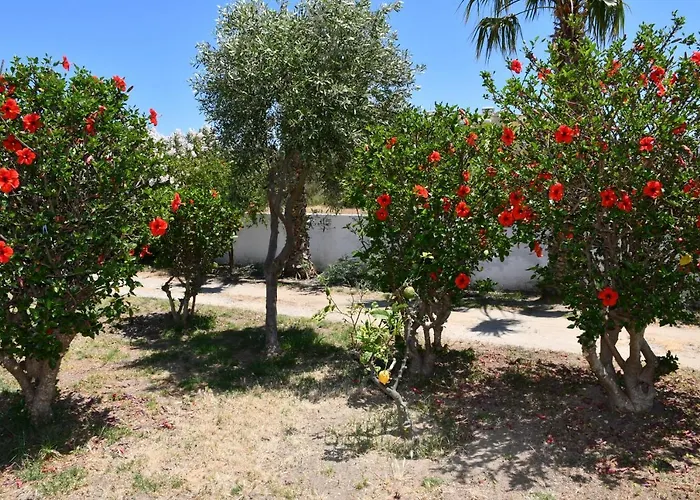 Apartamento 1-bedroom Olympia At Lambi *